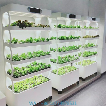 Iydroponic Automated Grow Syst - Diy Home Automation System review and price